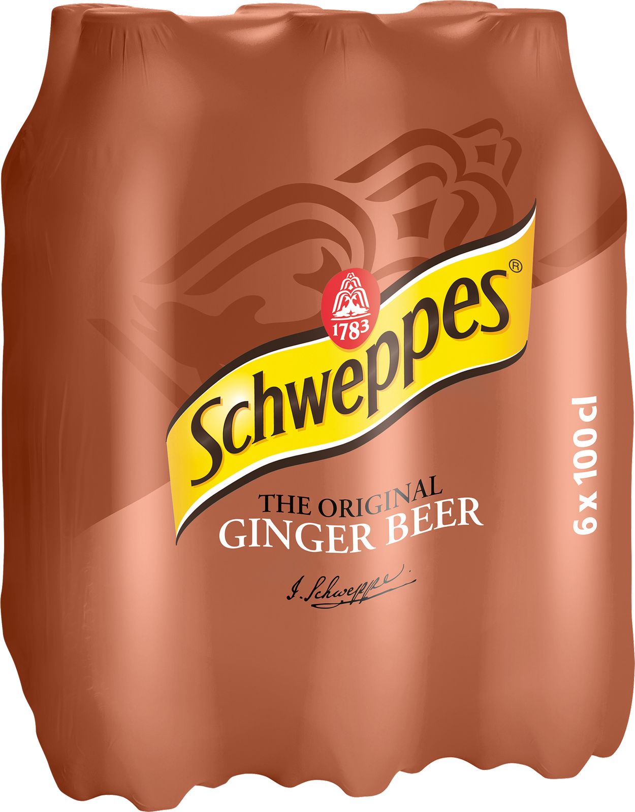 Schweppes Ginger Beer Pet
6-pack