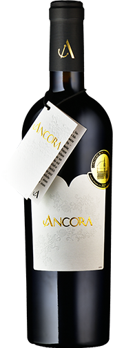 Ancora Galotta-Merlot Thierry Ciampi VDP
