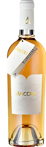 Ancora rosé