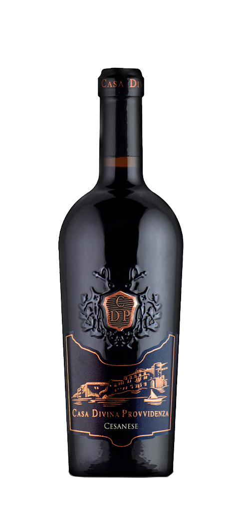 Cesanese rouge IGT LazioCasa Divina Provvidenza