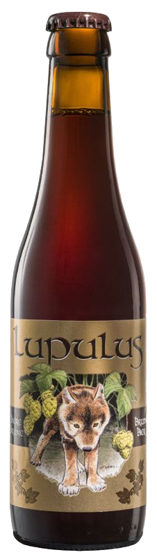 Lupulus brune VC
Harasse