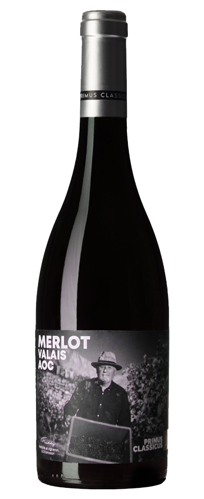 Merlot Primus Classicus Cave Orsat AOC