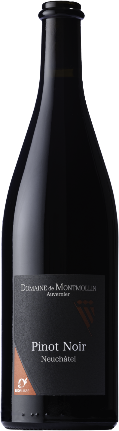 Pinot noir classic NE
Domaine de Montmollin VDP