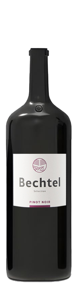 Pinot noir sélection barrique Zurich AOC
Cave Bechtel Eglisau