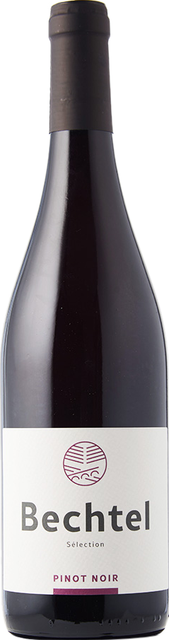 Pinot noir sélection barrique Zurich AOC
Cave Bechtel Eglisau