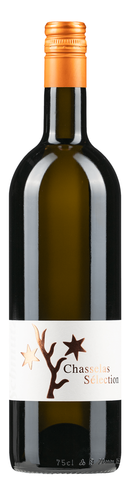 Vully chasselas 
Cave Schmutz Praz AOC