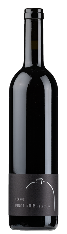 Vully Pinot Noir  **
Cave Simonet Môtier AOC